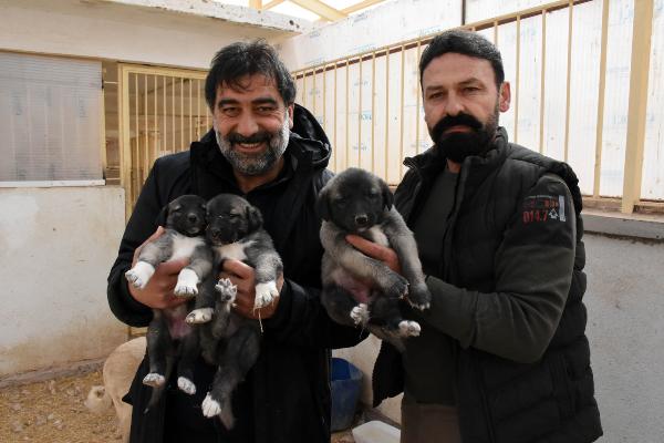 Ünal Karaman’ın ‘Kangal köpeği’ sevgisi