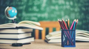 Eğitim-Sen Samsun Şube Başkanı Arzu Topaloğlu, salgının en yüksek düzeyde