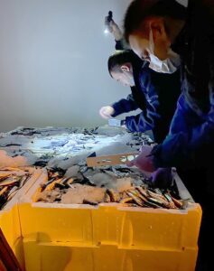 İSTANBUL (AA) – Beylikdüzü Gürpınar Su Ürünleri Hali girişi ve