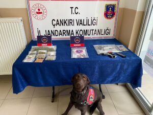 ÇANKIRI (AA) – Çankırı merkezli 5 ilde düzenlenen uyuşturucu operasyonunda