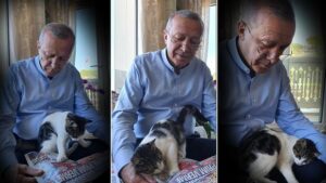 Cumhurbaşkanı Recep Tayyip Erdoğan, torunu Canan Aybike Bayraktar'ın kedisiyle fotoğraf