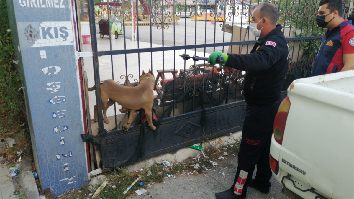 Erzincan'da başı demir kapıya sıkışan köpeği itfaiye kurtardı