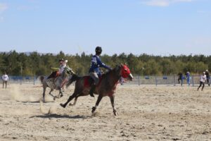 ERZURUM (AA) – Erzurum Büyükşehir Belediyesince düzenlenen "5. Geleneksel Atlı
