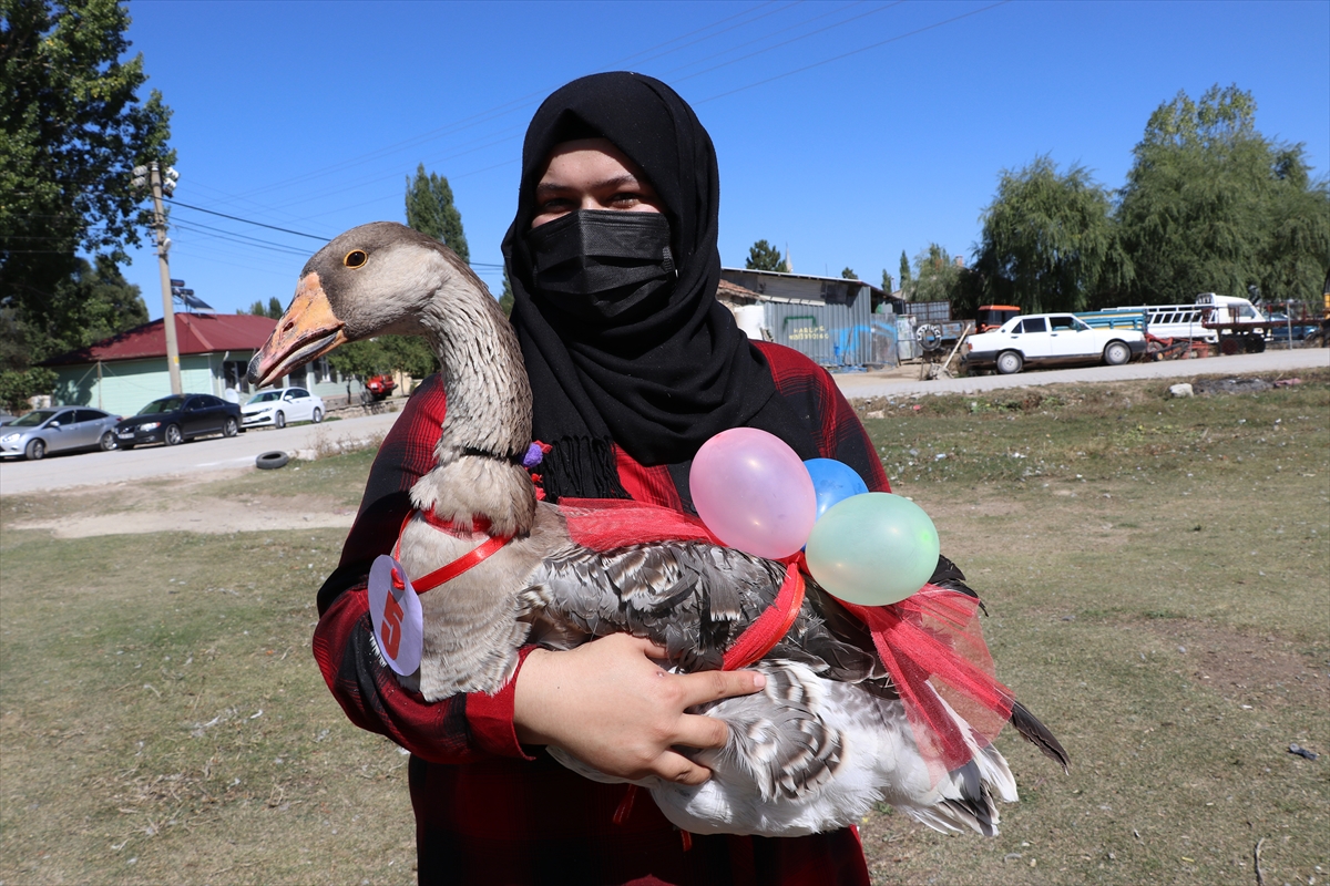 Kütahya'da “En Güzel Kaz Yarışması” düzenlendi