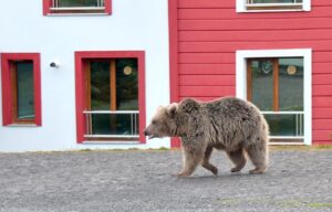 KARS (AA) – Kars'ın Sarıkamış ilçesinde akşam saatlerinde TOKİ konutları