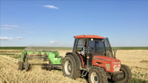 - Üretim miktarlarının bu yılın ikinci tahmininde geçen yıla göre,