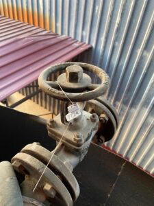 ADANA (AA) – Adana'nın merkez Sarıçam ilçesinde 64 bin 242