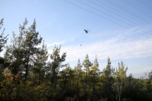 ADANA (AA) – Adana'nın Çukurova ilçesinde üç ayrı noktada çıkan