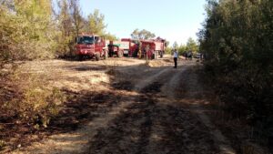 ADANA (AA) – Adana'nın Karaisalı ilçesinde üç ayrı noktada çıkan