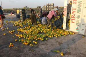 ADANA (AA) – Adana'nın merkez Yüreğir ilçesinde narenciye yüklü kamyon