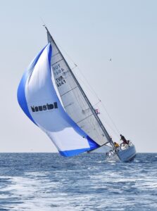 - Muğla'nın Bodrum ilçesinde, rotasıyla orman yangınından etkilenen alanlara dikkati