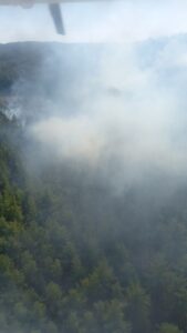 ANTALYA (AA) – Antalya’nın Serik ilçesinde ormanlık alanda çıkan yangın,