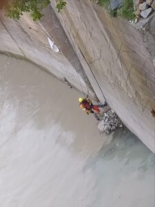 ARTVİN (AA) – Artvin'de Çoruh Nehri'ne düşen kedi, İl Afet