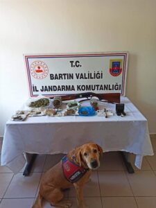 BARTIN (AA) – Bartın'ın Kurucaşile ilçesinde arı kovanları ve samanlığın