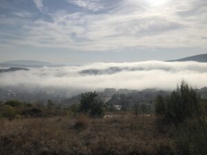 BİLECİK (AA) – Bilecik’te sabah saatlerinde oluşan sis nedeniyle güzel