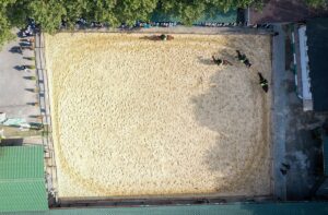 - İl Emniyet Müdürlüğü bünyesindeki atlı ve köpekli polisler, öğrenciler