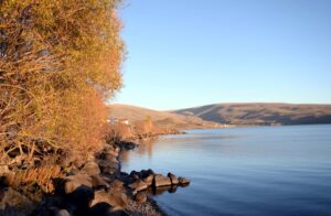 ARDAHAN (AA) – Ardahan merkezine 45 kilometre uzaklıkta bulunan ve