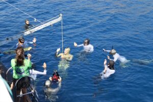 ANTALYA (AA) – Dünya Sualtı Aktiviteleri Konfederasyonu (CMAS) 5. Serbest