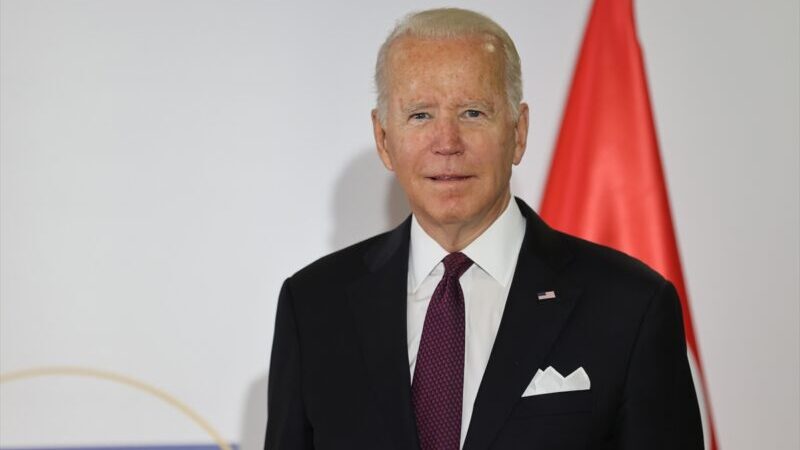 Biden, Putin ile yapacağı video konferans öncesi Avrupalı müttefikleri ile görüştü