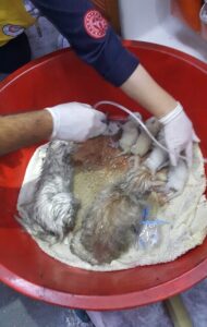 DENİZLİ (AA) – Denizli'nin Pamukkale ilçesinde evde çıkan yangında dumandan