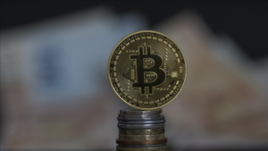 Cumhurbaşkanlığı Yıllık Programı’na göre, mevcut ve ileri teknolojilerin dijital Türk