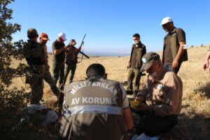 MALATYA (AA) – OKAN COŞKUN – Malatya'da, Tarım ve Orman