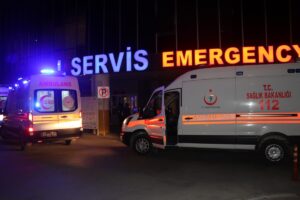 ERZİNCAN (AA) – Erzincan'ın Kemah ilçesinde, bahçede elma toplamaya çıkan