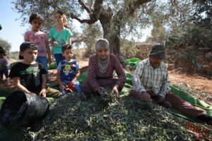 EL HALİL (AA) – MUSTAFA DEVECİ – İsrail işgali altındaki