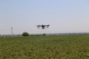 ŞANLIURFA (AA) – YASİN DİKME – Tarım sektöründe kaynakların doğru