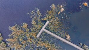 DÜZCE (AA) – ÖMER ÜRER – Düzce'nin Gölyaka ilçesinde, yaklaşık