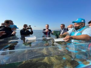 - "İzmit Körfezi'ni Balıklandırma" projesi çerçevesinde denize bırakılan balıklara takılan