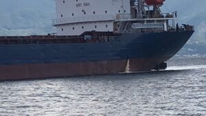 KOCAELİ (AA) – Kocaeli'de, İzmit Körfezi'ni kirlettiği tespit edilen gemiye