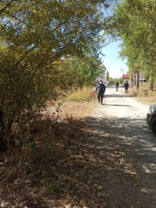 KAHRAMANMARAŞ (AA) – Kahramanmaraş'ın Elbistan ilçesinde ağaç altında bulunan ve