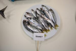 ORDU (AA) – HAYATİ AKÇAY – Ordu Üniversitesi'nde yürütülen iki