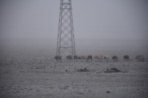 ERZURUM / KARS (AA) – Doğu Anadolu Bölgesi'nde hava sıcaklıklarının