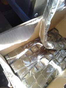 KAYSERİ (AA) – ​Kayseri'de doğal ortamlarında yaşayan tilkiler, uçakla atılan