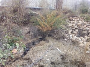 KIRKLARELİ (AA) – Kırklareli'nde, bir çiftlikten Teke Deresi'ne atık bırakıldığı