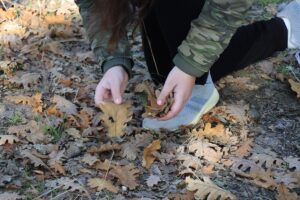 KIRKLARELİ (AA) – Kırklareli'nde ortaokul öğrencileri mandala etkinliğinde taş, yaprak,