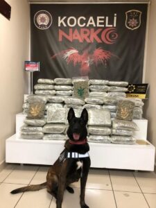 - Olayla ilgili bir şüpheli gözaltına alındı