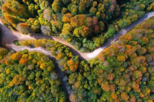 Kocaeli’nin yüksek kesimlerinde, sonbaharda oluşan renk cümbüşü drone ile görüntülendi.
