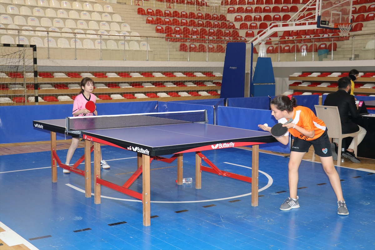 BATMAN (AA) – Doğu Anadolu ve Güneydoğu Anadolu Bölgesi Küçükler