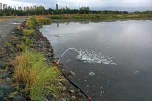 SİVAS (AA) – SERHAT ZAFER – Sivas'ta 2016 yılında "Ulusal