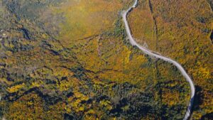 Kastamonu ve Bartın arasında zengin florası, endemik bitki türleri, ormanları