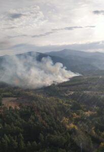 KÜTAHYA (AA) – Kütahya'nın Tavşanlı ilçesinde çıkan orman yangınına müdahale