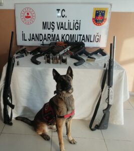 MUŞ (AA) – Malazgirt ilçesinde jandarma ekiplerince gerçekleştirilen terör operasyonunda