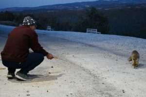 MANİSA (AA) – Manisa'nın Turgutlu ilçesinde yaşayan restoran işletmecisi Kadir