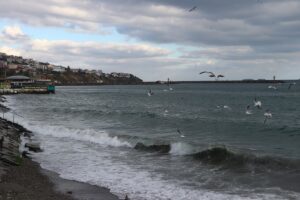 TEKİRDAĞ (AA) – Marmara Denizi'nde poyraz, deniz ulaşımını olumsuz etkiliyor.