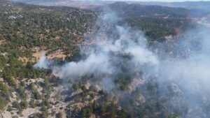 MERSİN (AA) – Mersin'in Bozyazı ilçesinde çıkan orman yangını, havadan