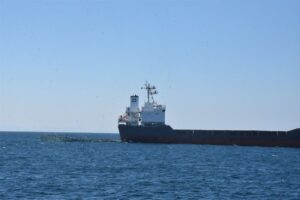 - Çarpma sonucu havuzların yırtılmasıyla binlerce balık Güllük Körfezi'ne kaçtı