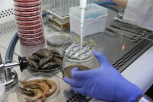 İSTANBUL (AA) – ÇİĞDEM ALYANAK – İstanbul Üniversitesi (İÜ) Su